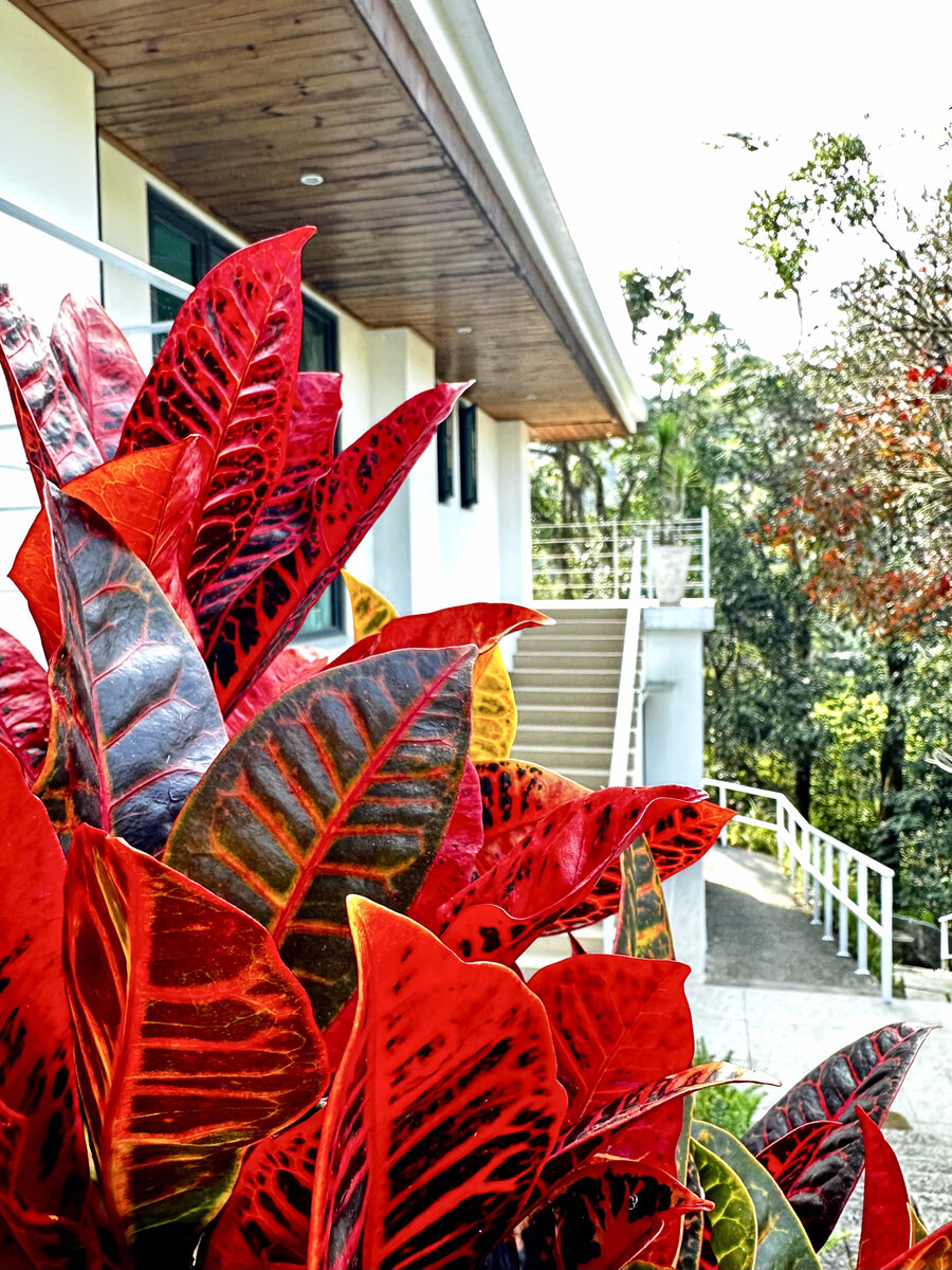 白舍青丘室內空間